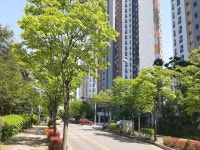 경매마당 공매정보 2025-01656-001의 시세, 권리분석, 상세정보