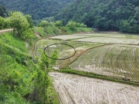 경매마당 공매정보 2025-03411-003의 시세, 권리분석, 상세정보