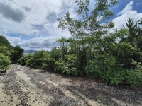 경매마당 공매정보 2025-06156-004의 시세, 권리분석, 상세정보