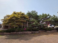 경매마당 공매정보 2025-0700-046227의 시세, 권리분석, 상세정보