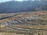 경매마당 경매정보 2024타경31169[2]의 시세, 권리분석, 상세정보
