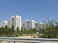 경기도 안산시 상록구 성포동 주공11단지 의 시세, 권리분석, 상세정보