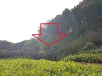 경매마당 경매정보 2024타경54620의 시세, 권리분석, 상세정보