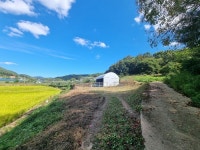 경매마당 경매정보 2024타경4851[3]의 시세, 권리분석, 상세정보