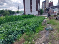 경매마당 경매정보 2024타경20890의 시세, 권리분석, 상세정보