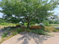 경매마당 경매정보 2024타경54575[3]의 시세, 권리분석, 상세정보