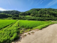 경매마당 경매정보 2023타경34103[2]의 시세, 권리분석, 상세정보