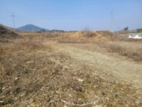경매마당 경매정보 2024타경862의 시세, 권리분석, 상세정보