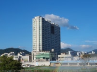 경매마당 경매정보 2024타경6209[8]의 시세, 권리분석, 상세정보