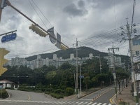 전라남도 여수시 소호동 프레지던트 의 시세, 권리분석, 상세정보