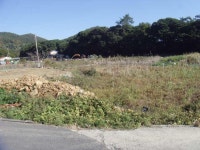 경매마당 경매정보 2023타경1869의 시세, 권리분석, 상세정보