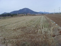 경매마당 경매정보 2023타경55477[1]의 시세, 권리분석, 상세정보