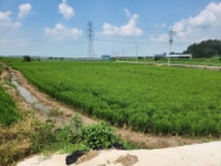 경매마당 경매정보 2024타경32076[4]의 시세, 권리분석, 상세정보