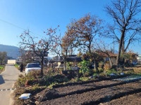 경매마당 공매정보 2021-1200-061204의 시세, 권리분석, 상세정보