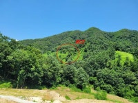 경매마당 공매정보 2023-12573-001의 시세, 권리분석, 상세정보