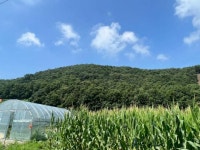 2023-0205-0879 | 경매마당 공매정보 '2023-08345-001'의 시세, 권리분석, 상세정보