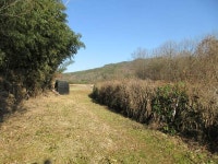 경매마당 공매정보 2023-06352-002의 시세, 권리분석, 상세정보