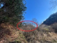 경매마당 공매정보 2023-13168-002의 시세, 권리분석, 상세정보