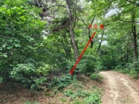 경매마당 경매정보 2022타경32571의 시세, 권리분석, 상세정보