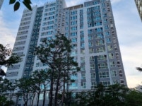 경기도 용인시 기흥구 공세동 탑실마을대주피오레1단지의 경매정보, 시세, 권리분석, 상세정보