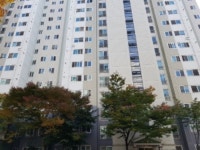 강원도 강릉시 입암동 이안강릉타운의 경매정보, 시세, 권리분석, 상세정보