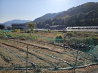 대구시 수성구 지산동 우방타운의 경매정보, 시세, 권리분석, 상세정보