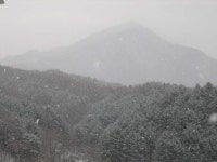 경매마당 경매정보 2023타경70089의 시세, 권리분석, 상세정보