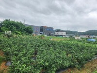 경매마당 경매정보 2023타경35555의 시세, 권리분석, 상세정보