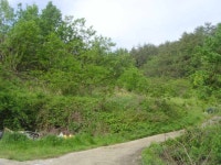 경매마당 경매정보 2023타경53441의 시세, 권리분석, 상세정보