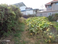 경매마당 경매정보 2023타경6173의 시세, 권리분석, 상세정보