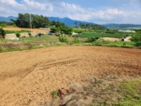 경매마당 경매정보 2023타경31246의 시세, 권리분석, 상세정보