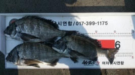 거제 여차에서..