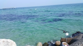 9일 울진 후포리 조행!