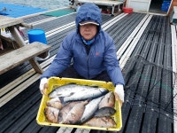 송정낚시터 송어등 조황 사진입니다