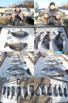 두방 팅팅..거제감시들..(찌낚시)