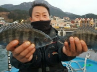 썬피싱 감성돔 출조