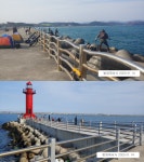 포항 영일신항만 방파제 조황(전어)