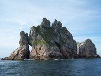 세존도