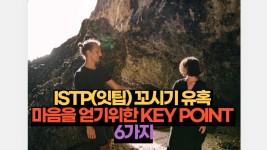 ISTP(잇팁) 꼬시기 유혹 마음을 얻기위한 KEY POINT 6가지 | 2024