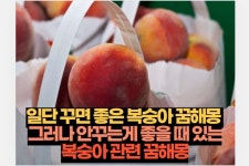 궁금한 심리 MBTI 연애 이별 사랑 애니어그램 | 118 / 39 페이지 | 관심있는 Mbti 연애 이별 심리 애니어그램 관련 정보를 다루고 있습니다.