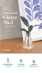 식물 > 메이크정글 GLASSY NO.3 죽백 공기정화식물 유리병 수경화분 | 집꾸미기 정보부터 구매까지 오늘의집 스토어 메이크정글 GLASSY NO.3... 