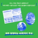 교회가 모여 교회가 되는 교회 | 두란노몰 교회가 모여 교회가 되는 교회