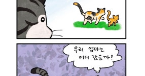 후초 만화 11 - NBA Mania