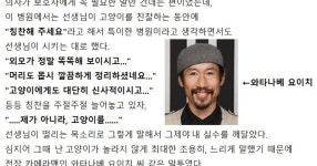 펌) 처음 가는 동물병원에 고양이를 데려갔다 - NBA Mania