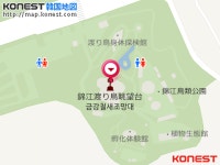 【写真】トモエガモの群舞＝韓国・全羅北道 | 韓国の社会・文化ニュース｜韓国旅行「コネスト」 【写真】トモエガモの群舞＝韓国・全羅北道... 