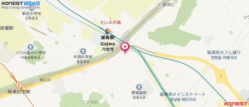 Moonily｜弘大(ソウル)のグルメ・レストラン｜韓国旅行「コネスト」 Moonily｜弘大(ソウル)のグルメ・レストラン