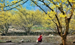 사순 제5주간 월요일 복음묵상 - 가톨릭정보 - 가톨릭굿뉴스