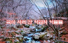 ■ 곡식 사러 간 야곱의 아들들[24] / 요셉[4] / 창세기 성조사[109] - 가톨릭정보 - 가톨릭굿뉴스