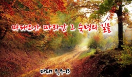 ■ 마태오가 따라간 그 숙명의 길을 / 성 마태오 사도 복음사가 축일(마태 9,9-13) - 가톨릭정보 - 가톨릭굿뉴스