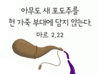 매일미사/2025년1월20일월요일[(녹) 연중 제2주간 월요일] - 가톨릭정보 - 가톨릭굿뉴스